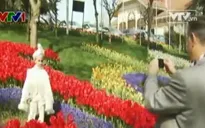 Lễ hội hoa tulip tạo cơ hội việc làm tại Thổ Nhĩ Kỳ