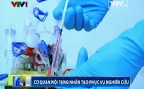 Xây dựng nội tạng nhân tạo để thử nghiệm thuốc