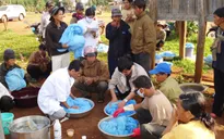 Hôm nay (25/4), Ngày thế giới phòng chống bệnh sốt rét