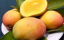 Lầm tưởng tai hại về tác dụng của hoa quả