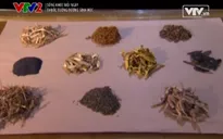 Bài thuốc chữa dị ứng hiệu quả