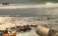 Xí nghiệp giấy lén lút xả thải, “đầu độc” sông Hồng