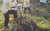 TP.HCM ra quân “Ngày Chủ nhật xanh” cải thiện môi trường