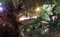Hà Nội: Mưa giông khiến 2 người chết, 1 người mất tích