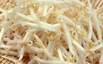 6 lợi ích nên ăn giá đỗ thường xuyên