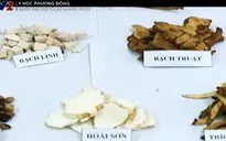Bài thuốc chữa suy dinh dưỡng ở trẻ