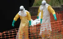 WHO sẽ triển khai kế hoạch đối phó với dịch Ebola