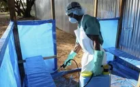 Cảnh báo dịch Ebola có thể vào Việt Nam qua đường du lịch