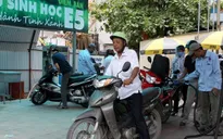 Quảng Ngãi: Giải pháp cho nguồn nguyên liệu xăng sinh học E5