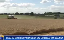 Châu Âu sẽ trợ giúp nông dân sau lệnh cấm vận của Nga