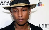 Pharrell Williams tham gia The Voice Mỹ, Adam Levine phấn khích