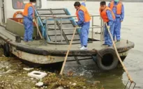 Hàng ngàn xác lợn chết trên sông Hoàng Phố