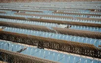 UAE vận hành nhà máy điện mặt trời lớn nhất Trung Đông