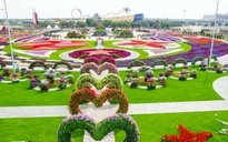 UAE khai trương vườn hoa lớn nhất thế giới