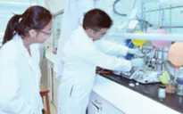 Phát hiện cơ chế gen giúp điều trị vết thương khó lành