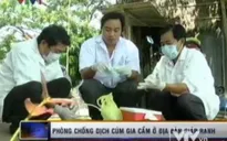Tăng cường phòng chống cúm gia cầm ở điạ bàn giáp ranh