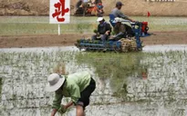 Triều Tiên cải cách nông nghiệp