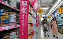 Chính phủ New Zealand mở điều tra về sữa Fonterra