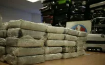Venezuela bắt giữ nghi can liên quan vụ vận chuyển cocaine