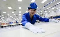 PMI sản xuất tháng 11 của Trung Quốc giảm