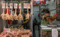 Hong Kong xác nhận ca nhiễm cúm H7N9 đầu tiên