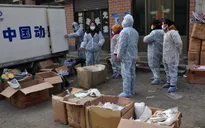 Trung Quốc: Bùng phát dịch cúm A/H5N1 tại Quý Châu