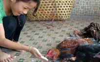 Campuchia phòng chống dịch cúm A/H5N1