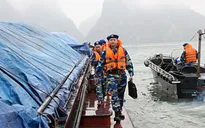 Vùng Cảnh sát biển 4 bắt giữ hai tàu sang mạn dầu trái phép