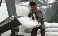 Giám đốc WFP tới Triều Tiên thảo luận chương trình viện trợ lương thực