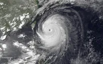 Nhật Bản: Bão Neoguri tàn phá Okinawa
