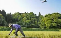 Nhật Bản công bố chiến lược cải cách nông nghiệp