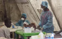 Ngân hàng Thế giới hỗ trợ chống dịch Ebola