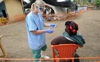 WHO xác nhận hơn 930 trường hợp tử vong do dịch Ebola