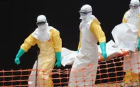Nigeria: Trường hợp thứ 3 tử vong vì Ebola