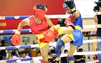 Boxing TP.HCM phát triển rộng nhưng chưa sâu