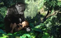 Công nghệ 3D trong "Tarzan – Cậu bé rừng xanh" tiến tiến đến mức nào?