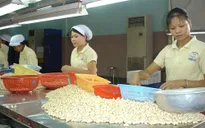 NHNN quyết tâm đưa lãi suất cho vay xuống dưới 13%/năm
