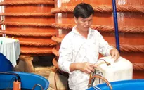 Nguyên liệu sản xuất nước mắm: Thiếu trầm trọng
