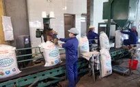 EU ngừng áp thuế nhập khẩu 400.000 tấn đường công nghiệp
