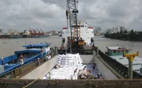 64% hợp đồng xuất khẩu gạo sang Trung Quốc bị hủy