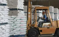 Bộ NN&PTNT đề nghị xuất khẩu đường trắng