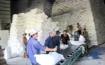 Xuất khẩu gạo thơm nhiều tiềm năng