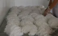 An Giang phạt 7 cơ sở tẩy trắng bún bằng hóa chất