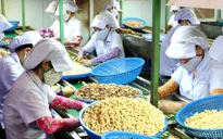 Nhập khẩu vật tư nông nghiệp tăng 10%