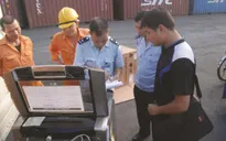 Gian lận qua hải quan điện tử diễn biến phức tạp