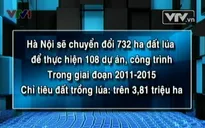 Hà Nội chuyển hơn 700 ha đất lúa làm dự án
