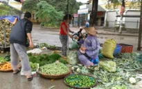Rau củ quả "đội" giá sau bão