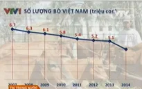 Vì sao thịt bò trong nước không rẻ hơn thịt nhập khẩu?
