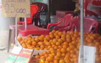 Cam Trung Quốc "gắn mác" cam Vinh lừa khách