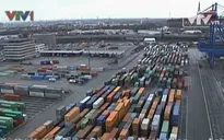 OECD kêu gọi Ngân hàng Trung ương châu Âu nới lỏng định lượng